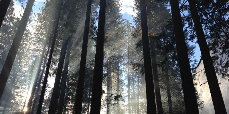 奇果智能11：重新定义智能家居生态的智能硬件新标杆