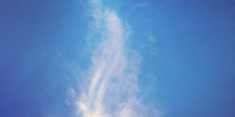 奇果智能65：以温馨科技重塑物联网时代的智能生活