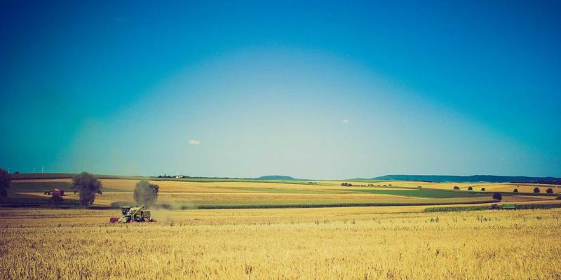 奇果智能71：当温馨科技融入日常，智能设备如何重塑生活温度