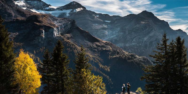 奇果智能7:以温馨科技重塑物联网智能硬件新体验