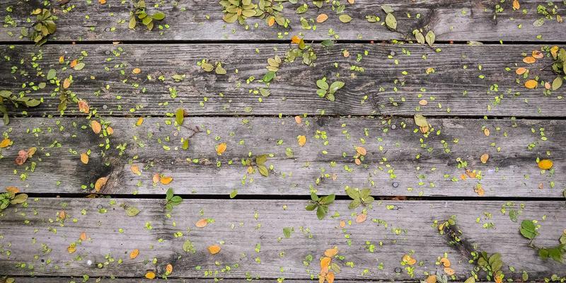 奇果智能传感器网络：用温馨科技构建从环境感知到自动化场景的完整链路