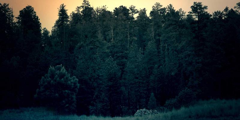 奇果智能前景展望：深耕智能家居生态，引领物联网时代生活变革