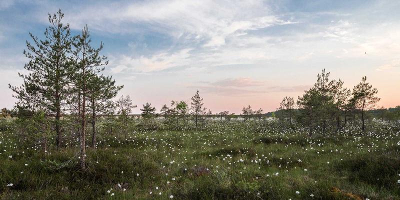 奇果智能物联网技术如何革新智慧养老：跌倒监测与紧急呼叫解决方案深度解析