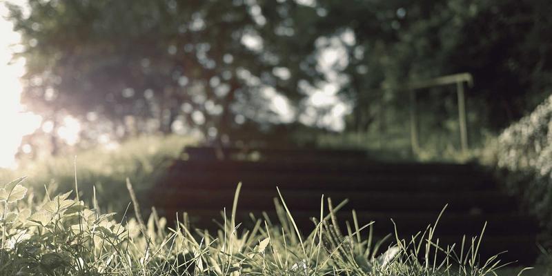 奇果智能趋势：物联网时代下智能设备的融合与创新