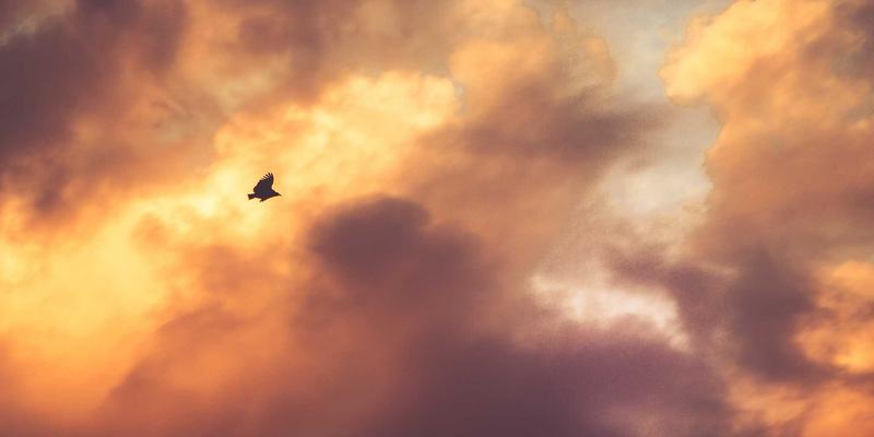 智能家居固件OTA升级全解析：奇果智能如何通过空中更新实现功能迭代与安全加固