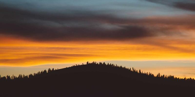 智能家居安全新维度：奇果智能智慧厨房的烟雾水浸监测与厨电联动实战指南