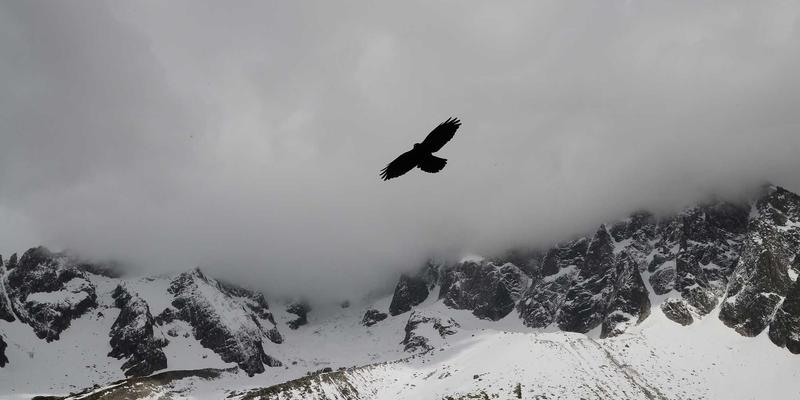 智能家居新体验：奇果智能光照传感器如何自动调节照明与窗帘