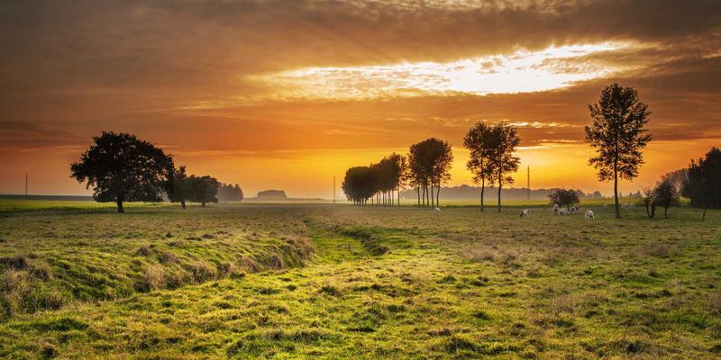 温馨科技如何重塑生活？奇果智能家居后台数据分析揭示家庭成员习惯与空间优化秘诀